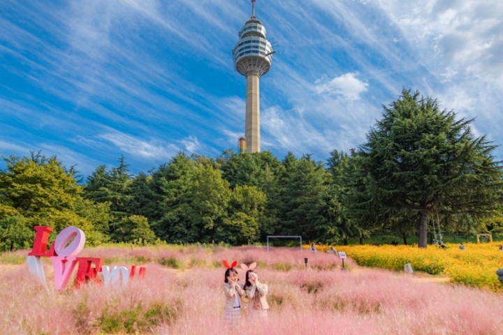 Daegu E-World Theme Park, 83 Tower & Spark Land One-Day Outdoor Experience Tour