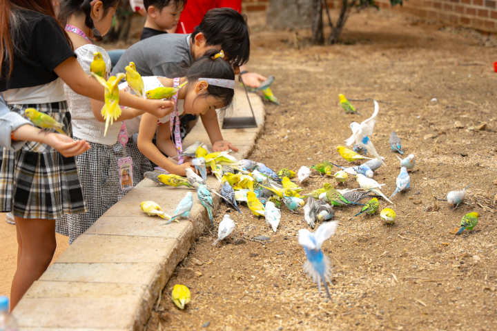 Daegu E-World Theme Park, 83 Tower & Spark Land One-Day Outdoor Experience Tour