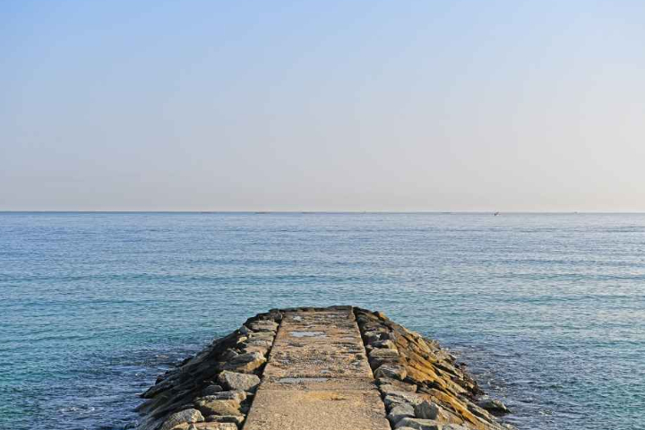 [Depart From Seoul] Gyeongpodae Cherry Blossom Festival K-drama Filming Location Day Tour