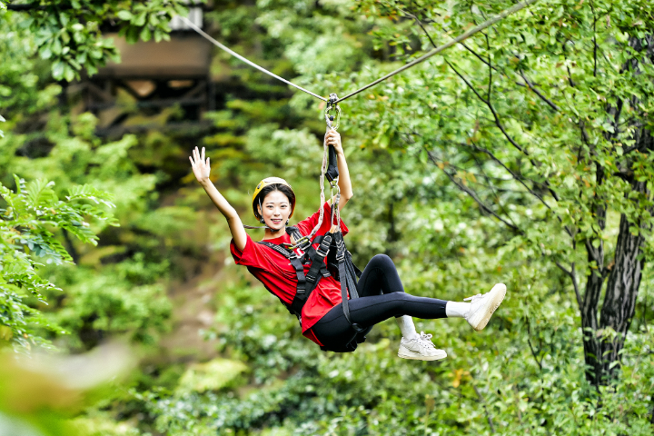 [Depart from Seoul] Gyeongju APEC Legacy + Mungyeong Activity 2D1N Tour