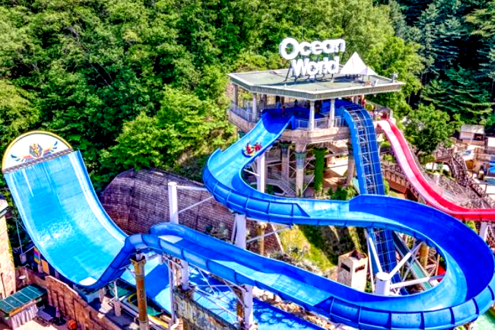 SONO VIVALDIPARK Ocean World + Outdoor Forest Adventure 2 Days 1 Night Tour