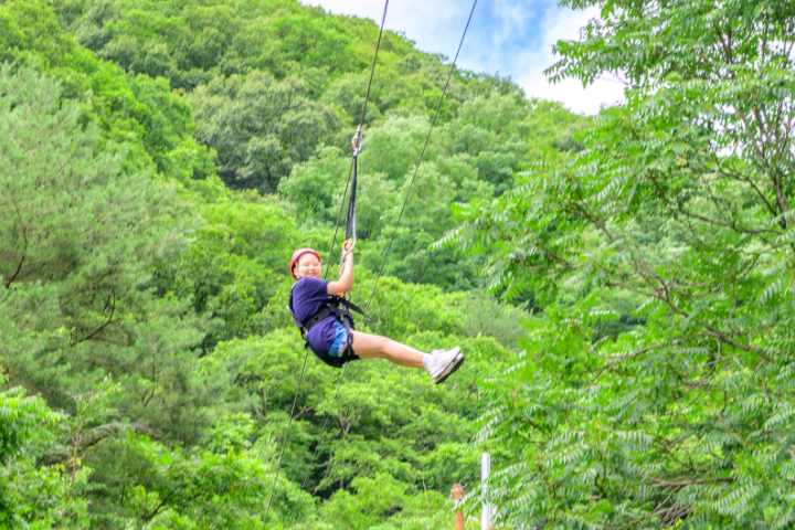 SONO VIVALDIPARK Ocean World + Outdoor Forest Adventure 2 Days 1 Night Tour