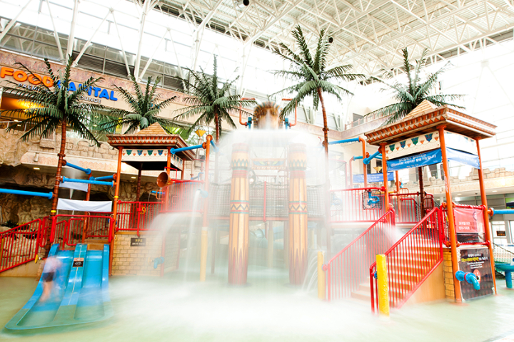 SONO VIVALDIPARK Ocean World + Outdoor Forest Adventure 2 Days 1 Night Tour