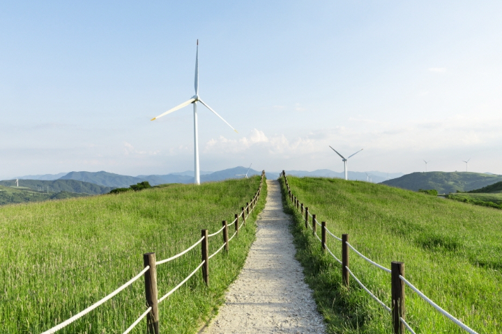 Gangneung Popular Food 2Day1Night Tour