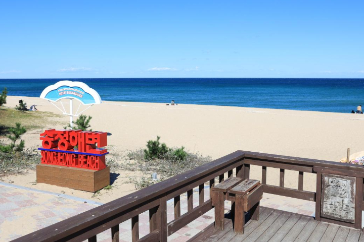 Gangneung Popular Food 2Day1Night Tour