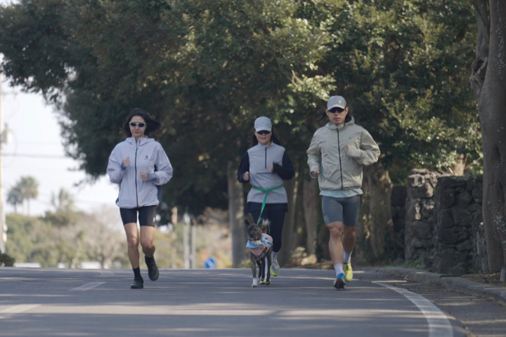 2026 SONO RUN TRIP 180K in JEJU