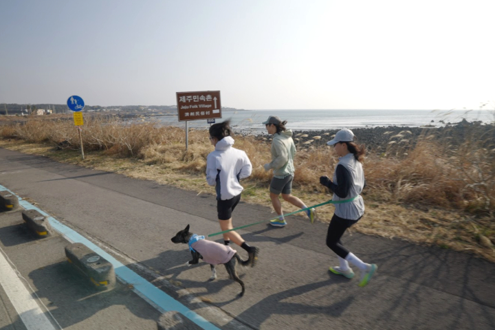 2026 SONO RUN TRIP 180K in JEJU