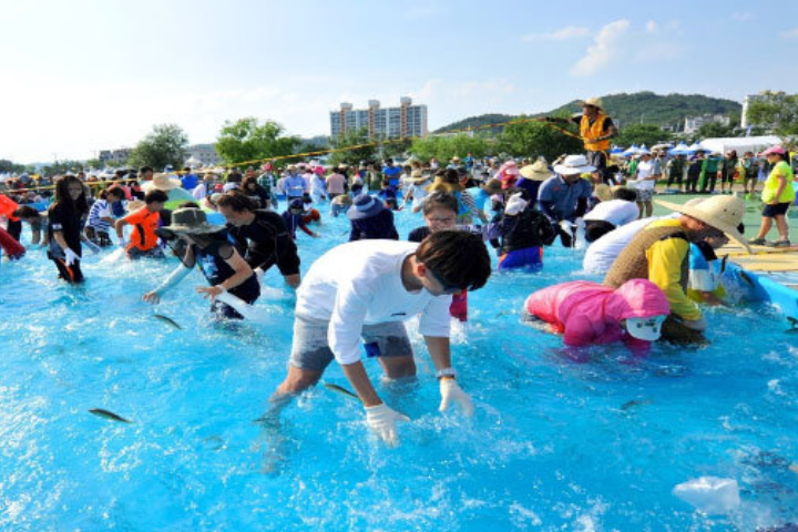 2026 Bonghwa Sweetfish Festival Day Tour