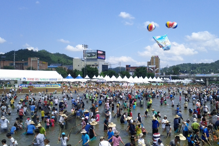 2026 Bonghwa Sweetfish Festival Day Tour