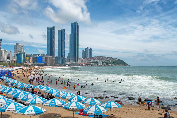 [Depart from Busan] Skyline Luge Busan Day Tour