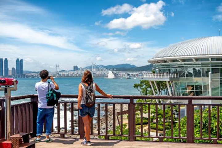 [Depart from Busan] Skyline Luge Busan Day Tour
