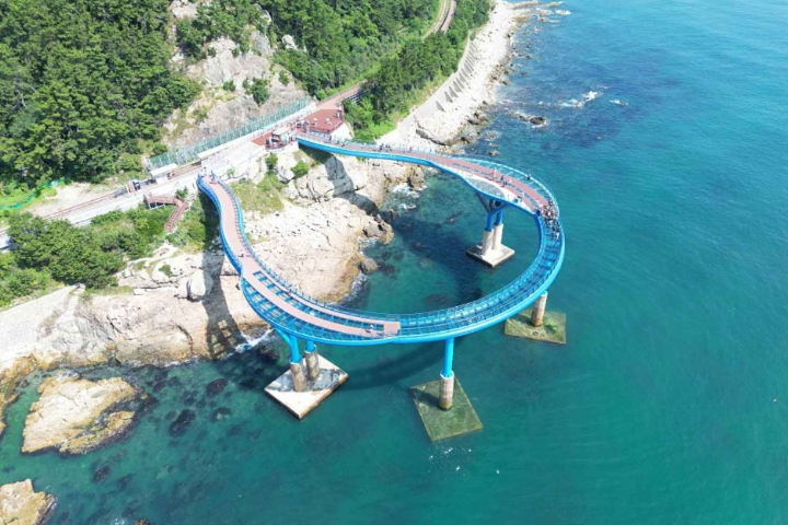 [Depart from Busan] Skyline Luge Busan Day Tour