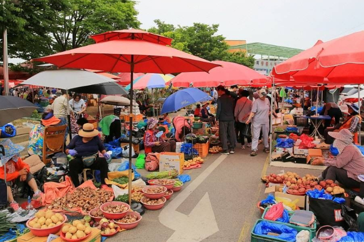 [Depart from Seoul] Luge Ride & Traditional Turnip Tea Experience : Ganghwado Day Tour