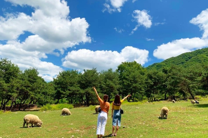 Chuncheon Slow Journey : Brewery, Makguksu & Farm Experience Day Tour