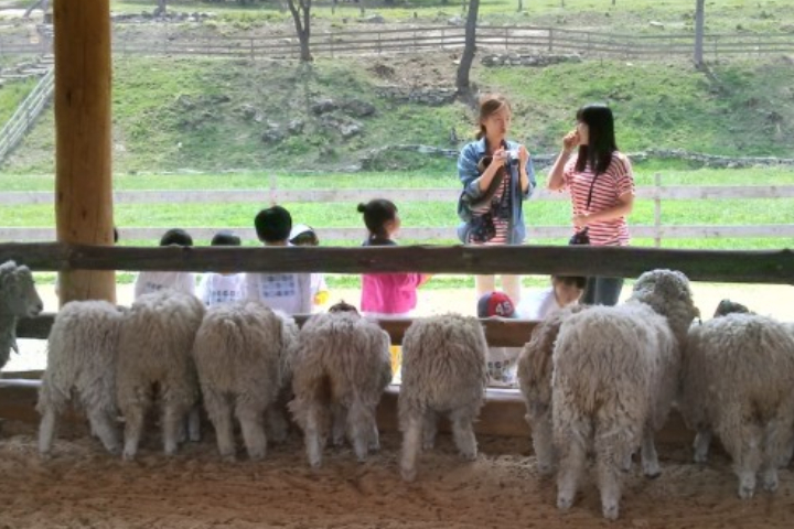 Chuncheon Slow Journey : Brewery, Makguksu & Farm Experience Day Tour