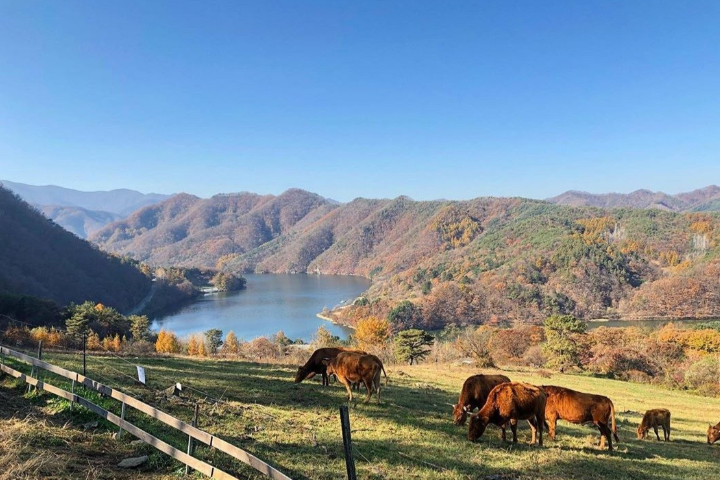 Chuncheon Slow Journey : Brewery, Makguksu & Farm Experience Day Tour