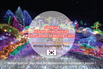 Snowy Sledding Tour