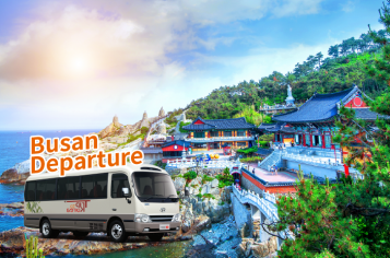 Chartered Vehicle Service from Busan 25-Seater