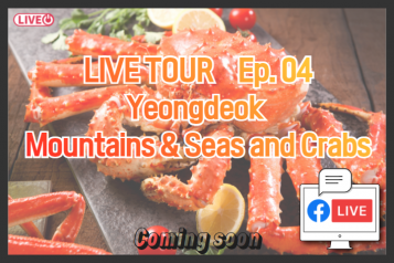  Yeongdeok Mountains ,Seas and Crabs LIVE Tour