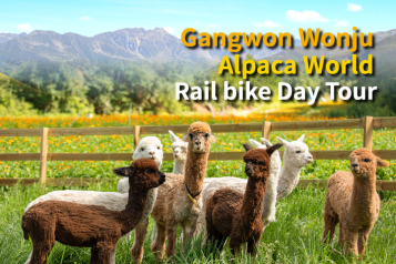 DIY Brick Oven Pizza Alpaca Rail bike Day Tour 