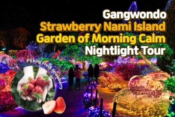 Strawberry Nami Island Garden of Morning Calm Nightlight Tour