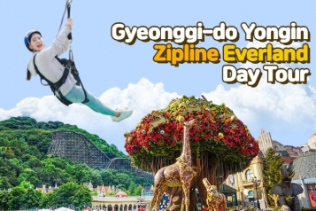 Yongin EVERLAND, Zipline Day Tour