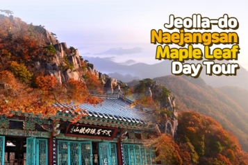 Naejangsan Maple Leaf Day Tour