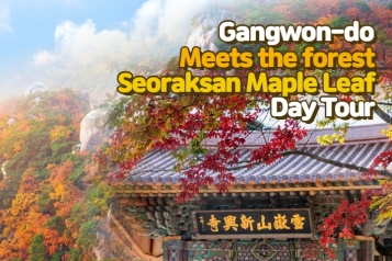 Gangwon-do meets the forest (Gangwon Forestry Exhibition) Seoraksan Maple Leaf Day Tour