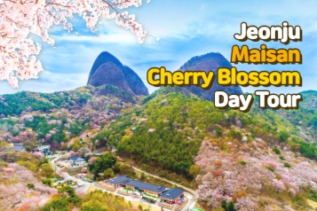 [Depart From Seoul] Jeonju Maisan Mountain Cherry Blossom Day Tour
