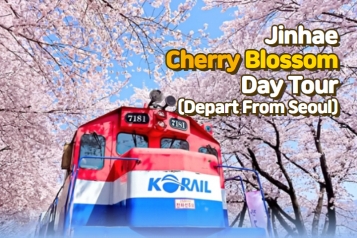 [Depart From Seoul] Jinhae Romantic Cherry Blossom Day Tour