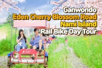 [Depart From Seoul] Gapyeong Eden Cherry Blossom Road Nami Island Rail Bike Day Tour