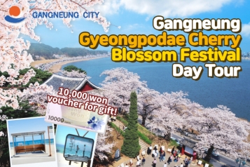 [Depart From Seoul] Gyeongpodae Cherry Blossom Festival K-drama Filming Location Day Tour