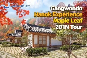 Gangneung Autumn Limited Maple Viewing and Hanok 2Days 1Night Tour