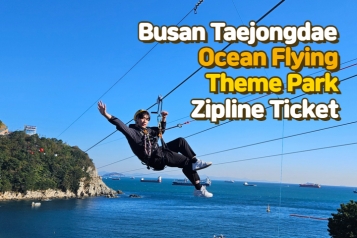 Busan Taejongdae Ocean Flying Theme Park Zipline Ticket