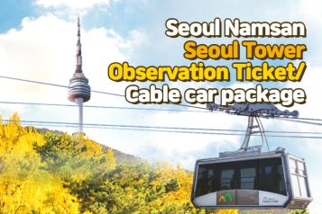 N Seoul Tower (Namsan Tower) Observation Deck Ticket/Cable Car Package