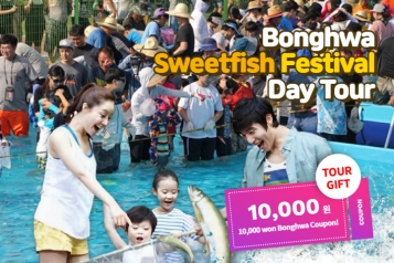 2024 Bonghwa Sweetfish Festival Day Tour