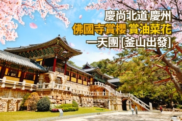 [釜山出發] 慶州佛國寺賞櫻油菜花一天團