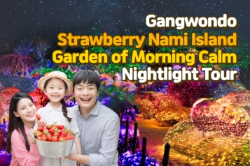 Strawberry Nami Island Garden of Morning Calm Nightlight Tour