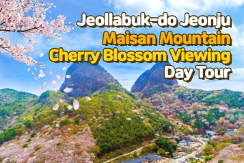 [Depart From Seoul] Jeonju Maisan Mountain Cherry Blossom Day Tour