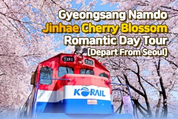 [Depart from Seoul] Jinhae Cherry Blossom DayTour