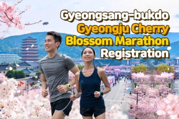 2025 Gyeongju Cherry Blossom Marathon Registration