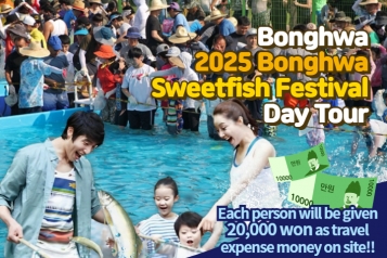 2025 Bonghwa Sweetfish Festival Day Tour