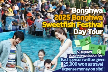 2025 Bonghwa Sweetfish Festival Day Tour