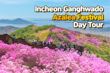 Ganghwado Azalea Festival Day Tour