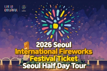2026 Seoul International Fireworks Festival Ticket + Seoul Half Day Tour